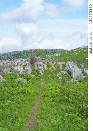 Akiyoshidai in May, with its beautiful fresh greenery, boasts one of Japan's largest karst plateau landscapes. Akiyoshidai in May, with its beautiful fresh greenery, boasts one of Japan's largest karst plateau landscapes. 139555520