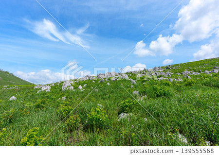 Akiyoshidai, Mine City, Yamaguchi Prefecture: Scenic hiking in the karst plateau during Golden Week. Akiyoshidai, Mine City, Yamaguchi Prefecture: Scenic hiking in the karst plateau during Golden Week. 139555568
