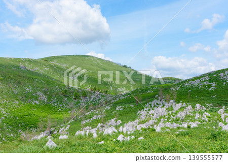 Akiyoshidai, Mine City, Yamaguchi Prefecture: Scenic hiking in the karst plateau during Golden Week. Akiyoshidai, Mine City, Yamaguchi Prefecture: Scenic hiking in the karst plateau during Golden Week. 139555577