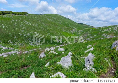 Akiyoshidai, Mine City, Yamaguchi Prefecture: Scenic hiking in the karst plateau during Golden Week. Akiyoshidai, Mine City, Yamaguchi Prefecture: Scenic hiking in the karst plateau during Golden Week. 139555584