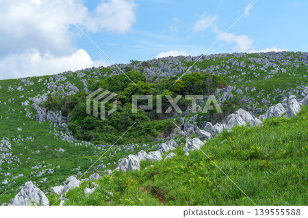 Akiyoshidai, Mine City, Yamaguchi Prefecture: Scenic hiking in the karst plateau during Golden Week. Akiyoshidai, Mine City, Yamaguchi Prefecture: Scenic hiking in the karst plateau during Golden Week. 139555588