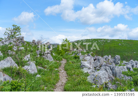 Akiyoshidai, Mine City, Yamaguchi Prefecture: Scenic hiking in the karst plateau during Golden Week. Akiyoshidai, Mine City, Yamaguchi Prefecture: Scenic hiking in the karst plateau during Golden Week. 139555595