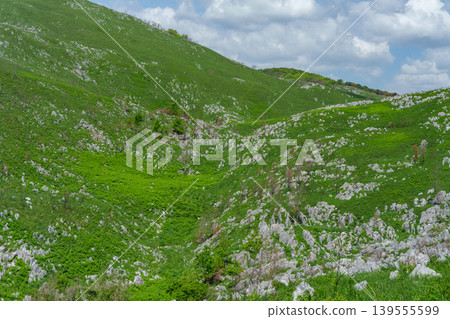 山口縣峰市秋吉台:黃金週期間在喀斯特高原進行風景優美的健行。 山口縣峰市秋吉台:黃金週期間在喀斯特高原進行風景優美的健行。 139555599