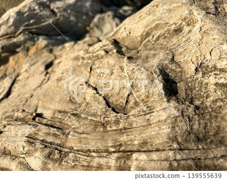 the rugged, detailed texture of a large rock surface bathed in warm sunlight. the rugged, detailed texture of a large rock surface bathed in warm sunlight. 139555639
