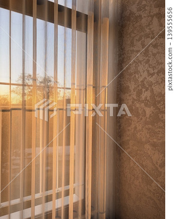Warm, golden sunlight filters through the window from the outside, 139555656