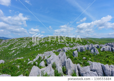 Akiyoshidai, a karst plateau born from ancient coral reefs, is beautiful with its fresh greenery. Akiyoshidai, a karst plateau born from ancient coral reefs, is beautiful with its fresh greenery. 139555884