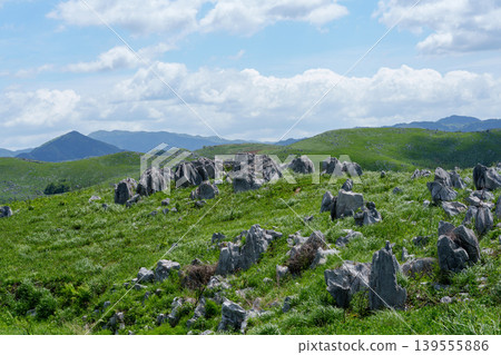 Akiyoshidai, a karst plateau born from ancient coral reefs, is beautiful with its fresh greenery. Akiyoshidai, a karst plateau born from ancient coral reefs, is beautiful with its fresh greenery. 139555886