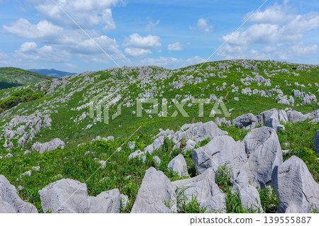 Akiyoshidai, a karst plateau born from ancient coral reefs, is beautiful with its fresh greenery. Akiyoshidai, a karst plateau born from ancient coral reefs, is beautiful with its fresh greenery. 139555887