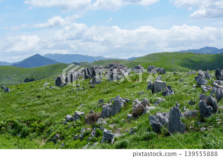 Akiyoshidai, a karst plateau born from ancient coral reefs, is beautiful with its fresh greenery. Akiyoshidai, a karst plateau born from ancient coral reefs, is beautiful with its fresh greenery. 139555888