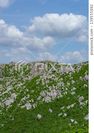 Akiyoshidai, a karst plateau born from ancient coral reefs, is beautiful with its fresh greenery. Akiyoshidai, a karst plateau born from ancient coral reefs, is beautiful with its fresh greenery. 139555892