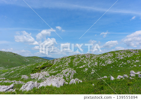 Akiyoshidai, a karst plateau born from ancient coral reefs, is beautiful with its fresh greenery. Akiyoshidai, a karst plateau born from ancient coral reefs, is beautiful with its fresh greenery. 139555894