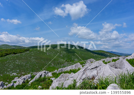 Akiyoshidai, a karst plateau born from ancient coral reefs, is beautiful with its fresh greenery. Akiyoshidai, a karst plateau born from ancient coral reefs, is beautiful with its fresh greenery. 139555896
