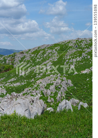Akiyoshidai, a karst plateau born from ancient coral reefs, is beautiful with its fresh greenery. Akiyoshidai, a karst plateau born from ancient coral reefs, is beautiful with its fresh greenery. 139555898