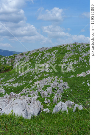 Akiyoshidai, a karst plateau born from ancient coral reefs, is beautiful with its fresh greenery. Akiyoshidai, a karst plateau born from ancient coral reefs, is beautiful with its fresh greenery. 139555899