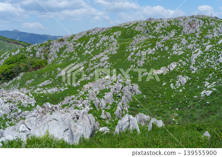 Akiyoshidai, a karst plateau born from ancient coral reefs, is beautiful with its fresh greenery. Akiyoshidai, a karst plateau born from ancient coral reefs, is beautiful with its fresh greenery. 139555900