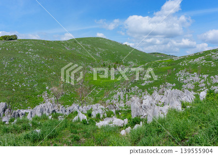 Akiyoshidai, a karst plateau born from ancient coral reefs, is beautiful with its fresh greenery. Akiyoshidai, a karst plateau born from ancient coral reefs, is beautiful with its fresh greenery. 139555904