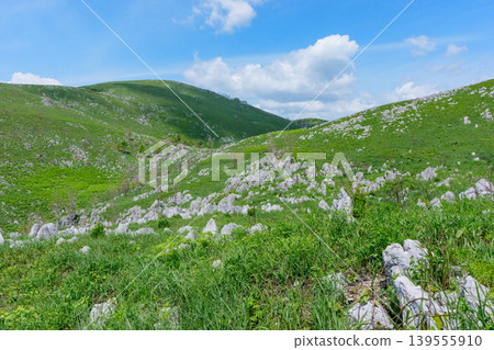 Akiyoshidai, a karst plateau born from ancient coral reefs, is beautiful with its fresh greenery. Akiyoshidai, a karst plateau born from ancient coral reefs, is beautiful with its fresh greenery. 139555910