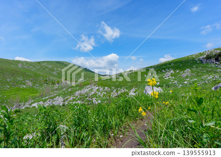 Akiyoshidai, a karst plateau born from ancient coral reefs, is beautiful with its fresh greenery. Akiyoshidai, a karst plateau born from ancient coral reefs, is beautiful with its fresh greenery. 139555913