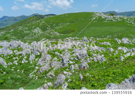 Akiyoshidai, a karst plateau born from ancient coral reefs, is beautiful with its fresh greenery. Akiyoshidai, a karst plateau born from ancient coral reefs, is beautiful with its fresh greenery. 139555916