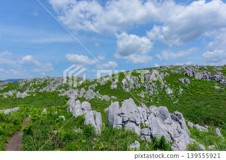Akiyoshidai, a karst plateau born from ancient coral reefs, is beautiful with its fresh greenery. Akiyoshidai, a karst plateau born from ancient coral reefs, is beautiful with its fresh greenery. 139555921