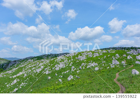 Akiyoshidai, a karst plateau born from ancient coral reefs, is beautiful with its fresh greenery. Akiyoshidai, a karst plateau born from ancient coral reefs, is beautiful with its fresh greenery. 139555922