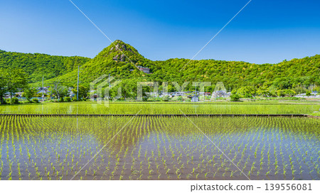 從滋賀縣東近江市近江平原的稻田眺望赤神山(太郎坊山) 從滋賀縣東近江市近江平原的稻田眺望赤神山(太郎坊山) 139556081