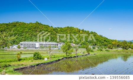 Rural landscape of the Omi Plain, Higashiomi City, Shiga Prefecture 139556085