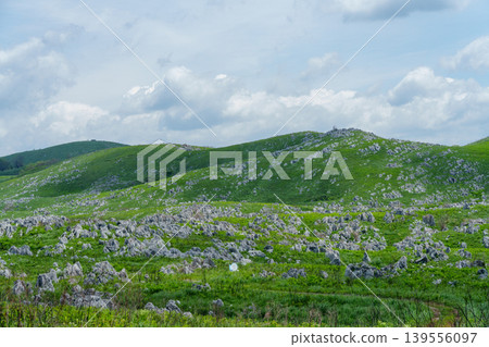 Akiyoshidai during Golden Week: A breathtaking landscape of limestone formations and lush greenery. Akiyoshidai during Golden Week: A breathtaking landscape of limestone formations and lush greenery. 139556097