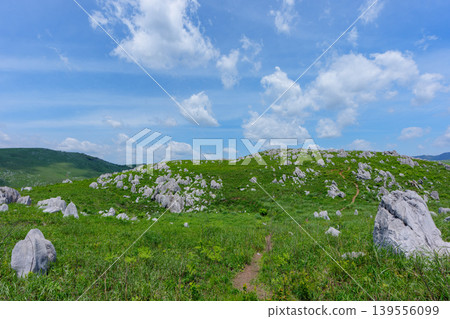 黃金周期間的秋吉台:石灰岩地形與蔥鬱綠植交相輝映,景色令人嘆為觀止。 黃金周期間的秋吉台:石灰岩地形與蔥鬱綠植交相輝映,景色令人嘆為觀止。 139556099