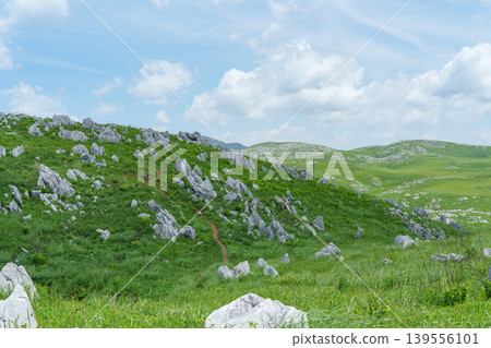 Akiyoshidai during Golden Week: A breathtaking landscape of limestone formations and lush greenery. 139556101