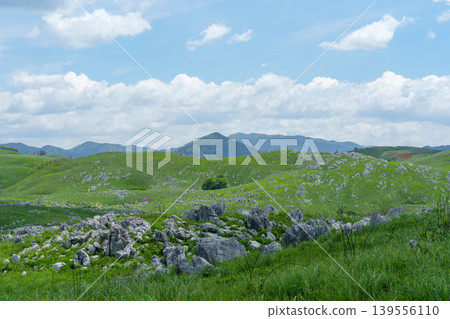 Akiyoshidai during Golden Week: A breathtaking landscape of limestone formations and lush greenery. Akiyoshidai during Golden Week: A breathtaking landscape of limestone formations and lush greenery. 139556110