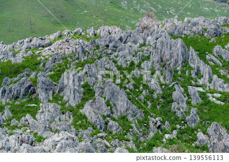 Akiyoshidai during Golden Week: A breathtaking landscape of limestone formations and lush greenery. Akiyoshidai during Golden Week: A breathtaking landscape of limestone formations and lush greenery. 139556113
