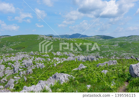 黃金周期間的秋吉台:石灰岩地形與蔥鬱綠植交相輝映,景色令人嘆為觀止。 黃金周期間的秋吉台:石灰岩地形與蔥鬱綠植交相輝映,景色令人嘆為觀止。 139556115