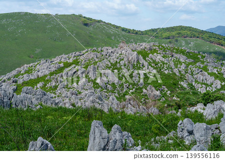 Akiyoshidai during Golden Week: A breathtaking landscape of limestone formations and lush greenery. Akiyoshidai during Golden Week: A breathtaking landscape of limestone formations and lush greenery. 139556116