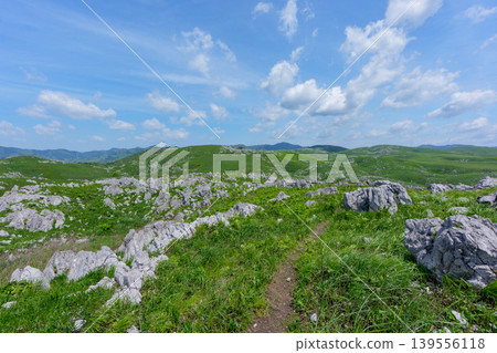 Akiyoshidai during Golden Week: A breathtaking landscape of limestone formations and lush greenery. Akiyoshidai during Golden Week: A breathtaking landscape of limestone formations and lush greenery. 139556118