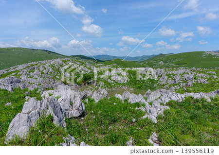 Akiyoshidai during Golden Week: A breathtaking landscape of limestone formations and lush greenery. Akiyoshidai during Golden Week: A breathtaking landscape of limestone formations and lush greenery. 139556119