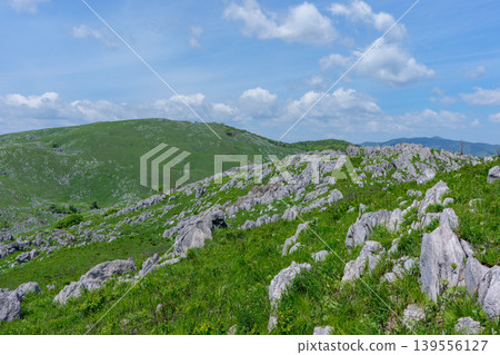 Akiyoshidai during Golden Week: A breathtaking landscape of limestone formations and lush greenery. Akiyoshidai during Golden Week: A breathtaking landscape of limestone formations and lush greenery. 139556127