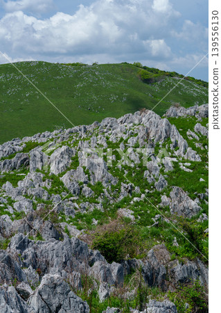 Akiyoshidai during Golden Week: A breathtaking landscape of limestone formations and lush greenery. Akiyoshidai during Golden Week: A breathtaking landscape of limestone formations and lush greenery. 139556130