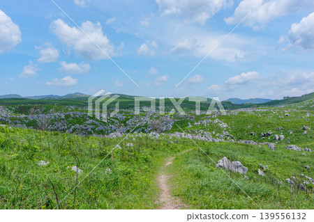 Akiyoshidai during Golden Week: A breathtaking landscape of limestone formations and lush greenery. Akiyoshidai during Golden Week: A breathtaking landscape of limestone formations and lush greenery. 139556132
