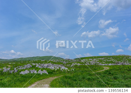 Akiyoshidai during Golden Week: A breathtaking landscape of limestone formations and lush greenery. Akiyoshidai during Golden Week: A breathtaking landscape of limestone formations and lush greenery. 139556134