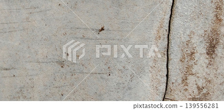 Grey concrete surface texture with aesthetic natural cracks. Grey concrete surface texture with aesthetic natural cracks. 139556281