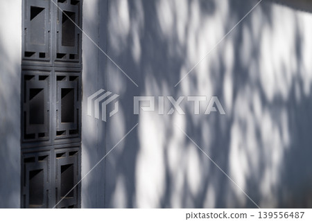 The blurry shadow or silhouette of tree branches on the white cement wall. Texture of plant shadow with sunlight on white background. The blurry shadow or silhouette of tree branches on the white cement wall. Texture of plant shadow with sunlight on white background. 139556487