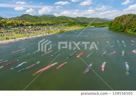 山口縣防府市佐馬川:水中游動的鯉魚飄帶和佐馬川鯉魚流祭。 山口縣防府市佐馬川:水中游動的鯉魚飄帶和佐馬川鯉魚流祭。 139556505