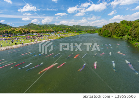 山口縣防府市佐馬川:水中游動的鯉魚飄帶和佐馬川鯉魚流祭。 山口縣防府市佐馬川:水中游動的鯉魚飄帶和佐馬川鯉魚流祭。 139556506