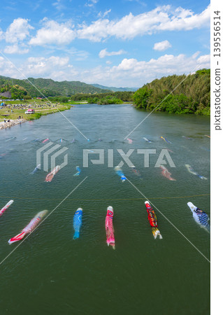 Saba River, Hofu City, Yamaguchi Prefecture: Carp streamers swimming in the water and the Saba River Koinagashi festival. Saba River, Hofu City, Yamaguchi Prefecture: Carp streamers swimming in the water and the Saba River Koinagashi festival. 139556514