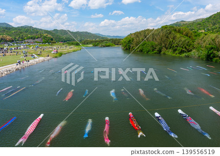 山口縣防府市佐馬川：水中游動的鯉魚飄帶和佐馬川鯉魚流祭。 139556519