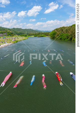 Saba River, Hofu City, Yamaguchi Prefecture: Carp streamers swimming in the water and the Saba River Koinagashi festival. Saba River, Hofu City, Yamaguchi Prefecture: Carp streamers swimming in the water and the Saba River Koinagashi festival. 139556520
