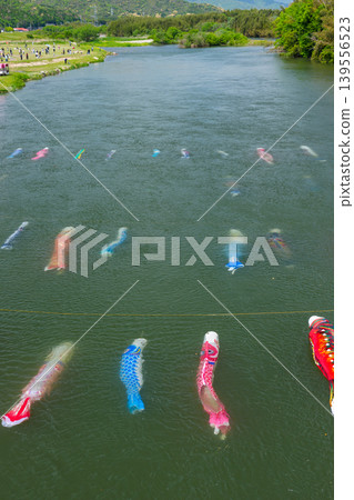 Saba River, Hofu City, Yamaguchi Prefecture: Carp streamers swimming in the water and the Saba River Koinagashi festival. Saba River, Hofu City, Yamaguchi Prefecture: Carp streamers swimming in the water and the Saba River Koinagashi festival. 139556523