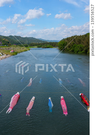 山口縣防府市佐馬川:水中游動的鯉魚飄帶和佐馬川鯉魚流祭。 山口縣防府市佐馬川:水中游動的鯉魚飄帶和佐馬川鯉魚流祭。 139556527