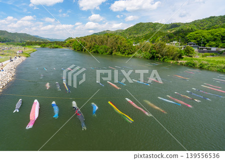 Saba River, Hofu City, Yamaguchi Prefecture: Carp streamers swimming in the water and the Saba River Koinagashi festival. 139556536
